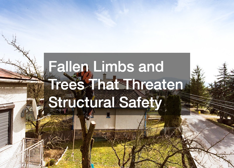 Fallen Limbs and Trees That Threaten Structural Safety