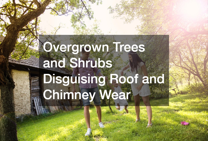 Overgrown Trees and Shrubs Disguising Roof and Chimney Wear