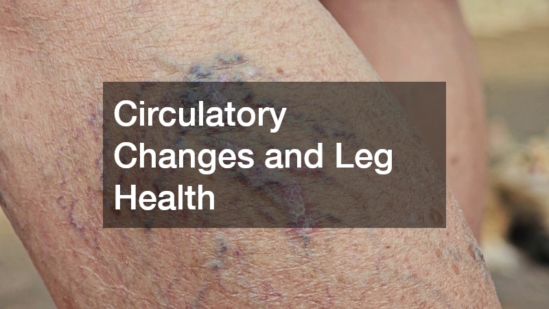 Circulatory Changes and Leg Health