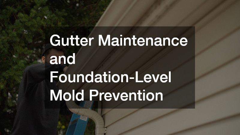 Gutter Maintenance and Foundation-Level Mold Prevention