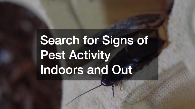 Search for Signs of Pest Activity Indoors and Out