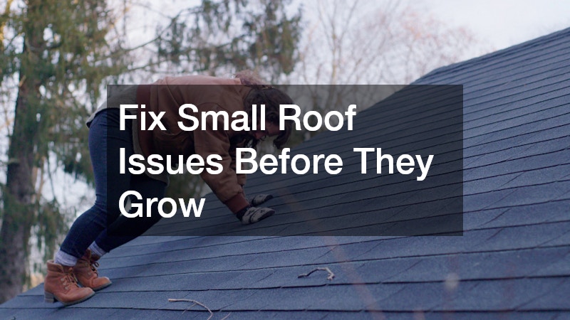 Fix Small Roof Issues Before They Grow
