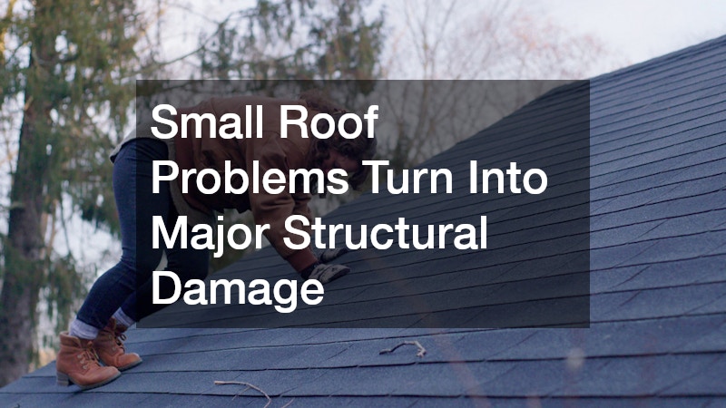 Small Roof Problems Turn Into Major Structural Damage