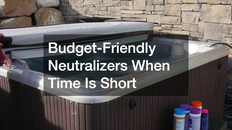 Budget-Friendly Neutralizers When Time Is Short