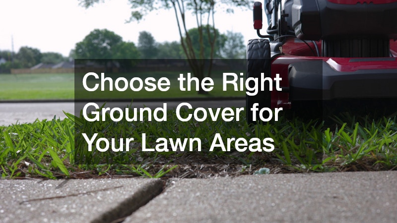 Choose the Right Ground Cover for Your Lawn Areas