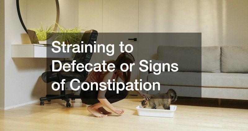Straining to Defecate or Signs of Constipation