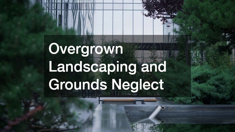 Overgrown Landscaping and Grounds Neglect