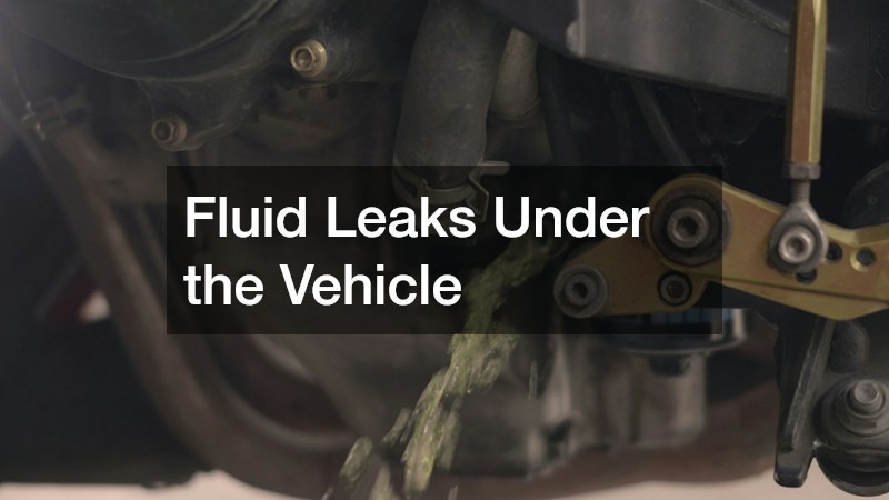 Fluid Leaks Under the Vehicle