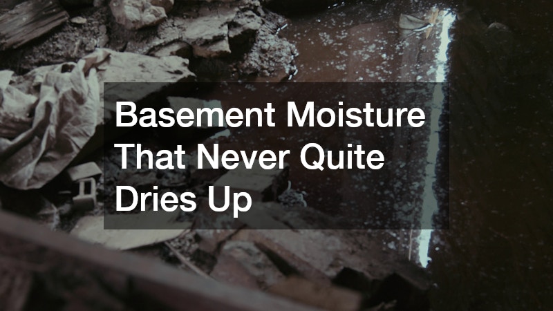 Basement Moisture That Never Quite Dries Up