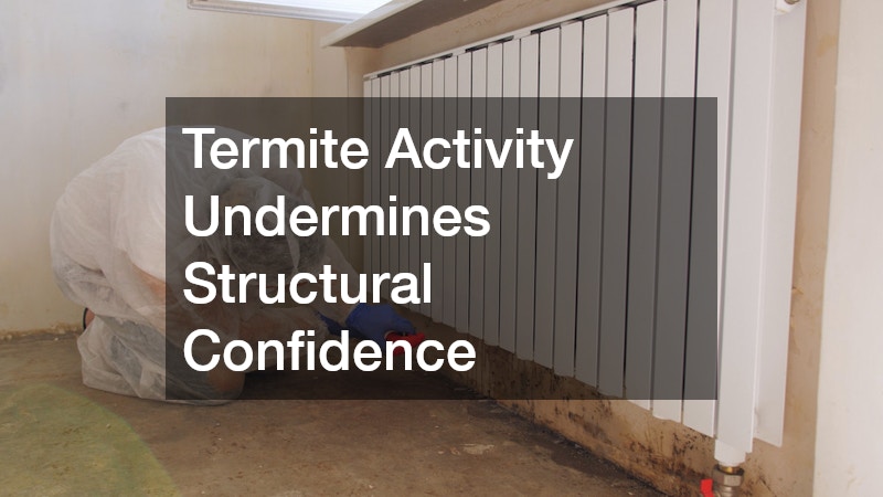 Termite Activity Undermines Structural Confidence