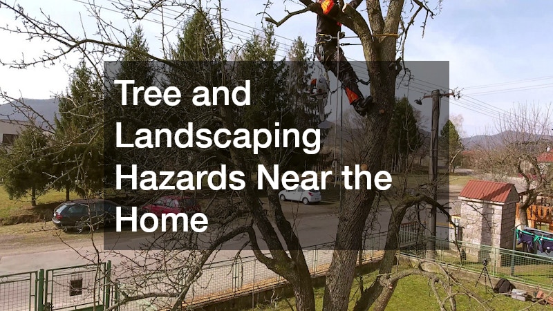 Tree and Landscaping Hazards Near the Home