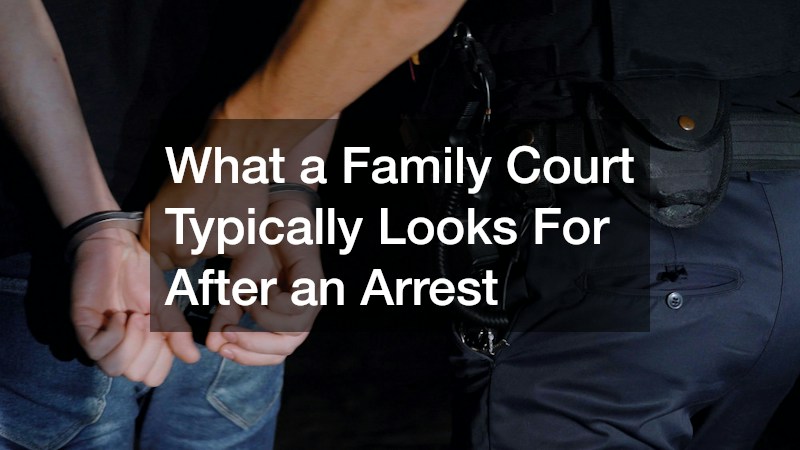 What a Family Court Typically Looks For After an Arrest