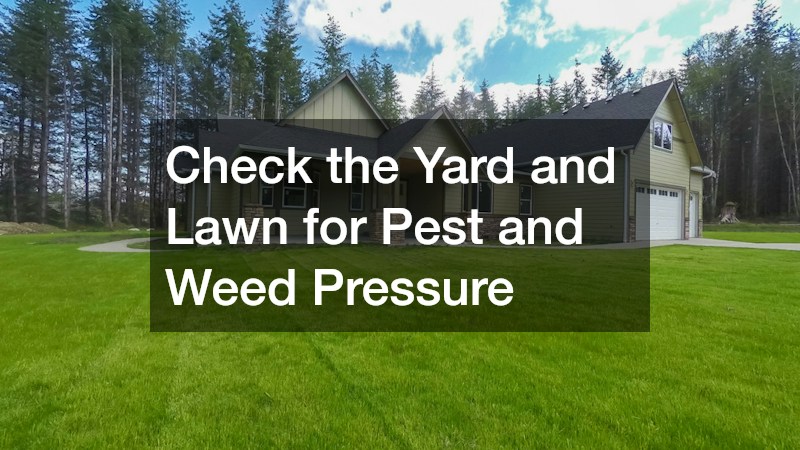 Check the Yard and Lawn for Pest and Weed Pressure