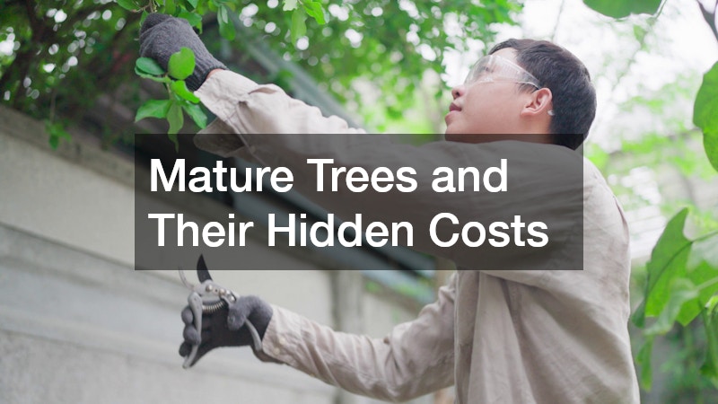 Mature Trees and Their Hidden Costs