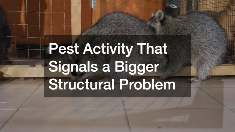 Pest Activity That Signals a Bigger Structural Problem