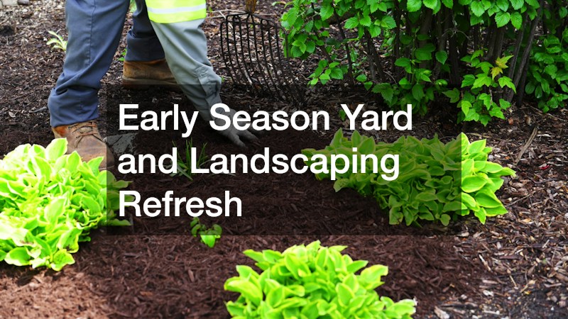 Early Season Yard and Landscaping Refresh