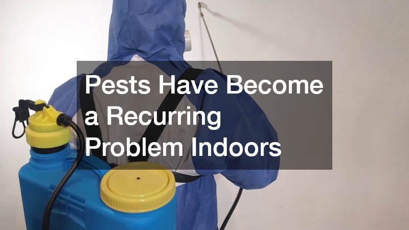 Pests Have Become a Recurring Problem Indoors