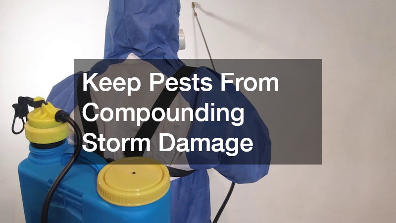 Keep Pests From Compounding Storm Damage