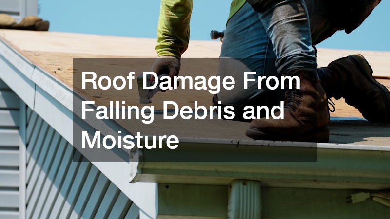 Roof Damage From Falling Debris and Moisture