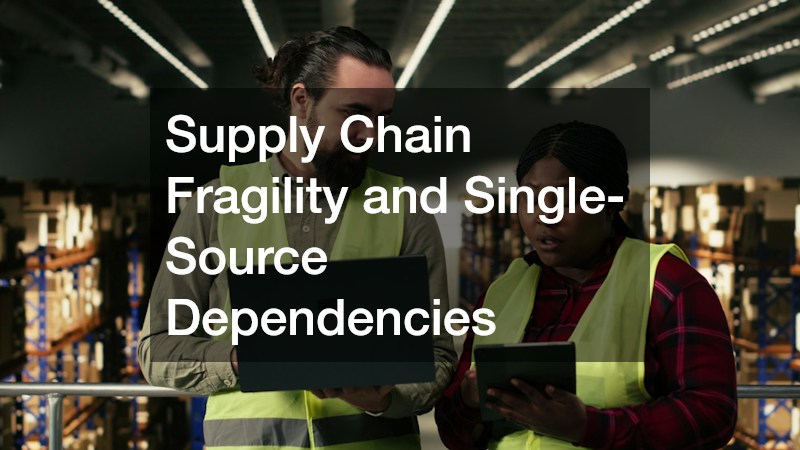 Supply Chain Fragility and Single-Source Dependencies