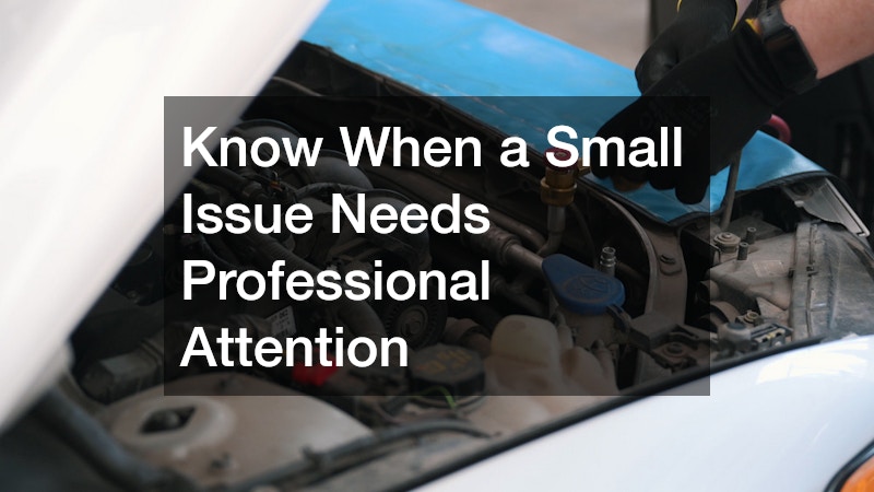 Know When a Small Issue Needs Professional Attention
