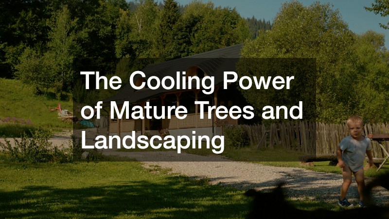 The Cooling Power of Mature Trees and Landscaping