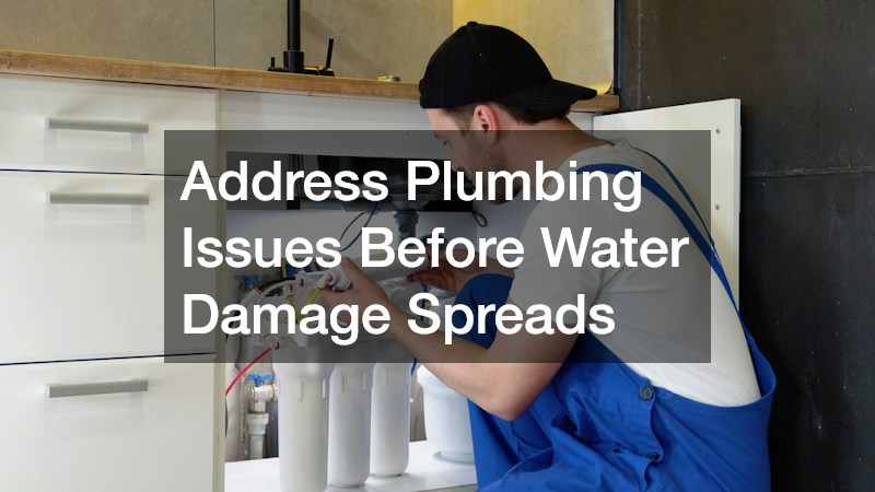 Address Plumbing Issues Before Water Damage Spreads