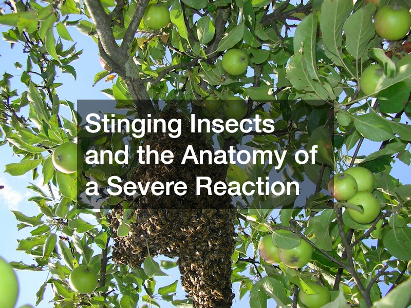 Stinging Insects and the Anatomy of a Severe Reaction