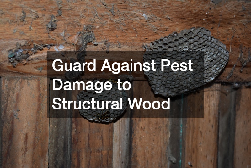 Guard Against Pest Damage to Structural Wood