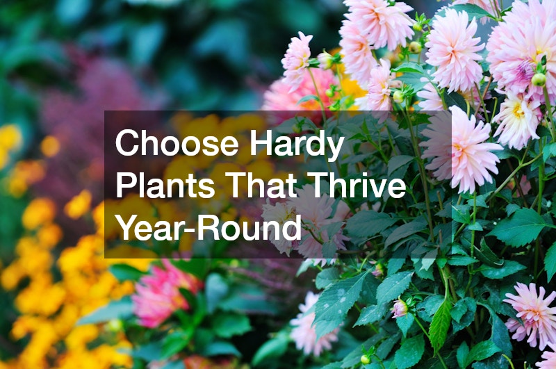 Choose Hardy Plants That Thrive Year-Round