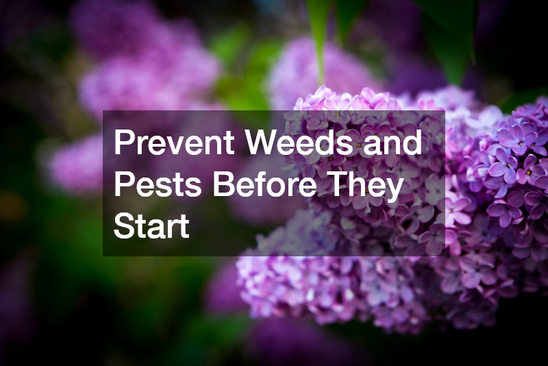 Prevent Weeds and Pests Before They Start
