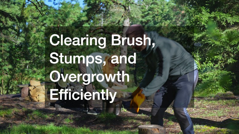 Clearing Brush, Stumps, and Overgrowth Efficiently