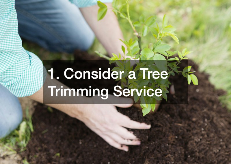 1. Consider a Tree Trimming Service