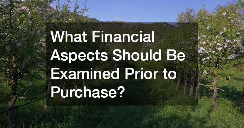 What Financial Aspects Should Be Examined Prior to Purchase?