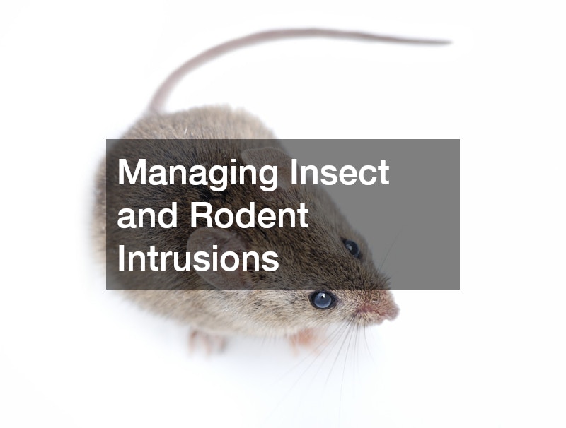 Managing Insect and Rodent Intrusions