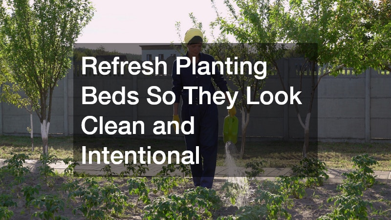Refresh Planting Beds So They Look Clean and Intentional