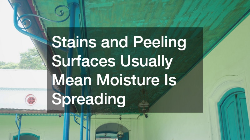 Stains and Peeling Surfaces Usually Mean Moisture Is Spreading