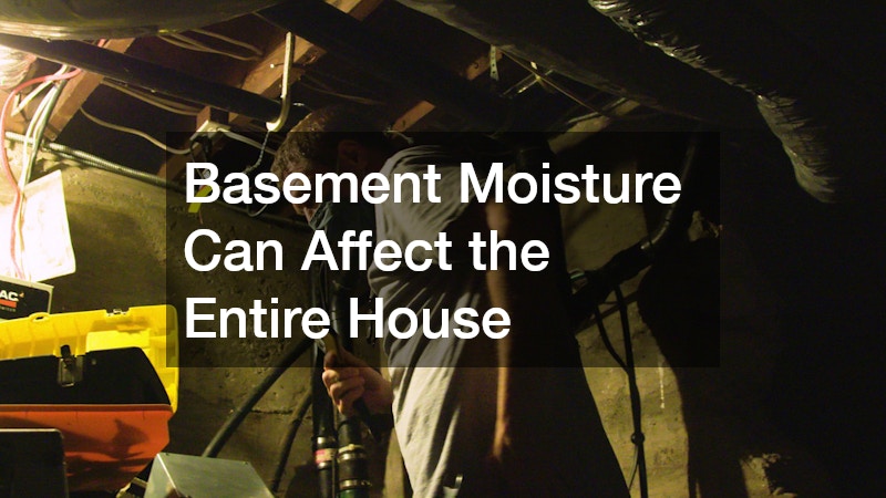 Basement Moisture Can Affect the Entire House