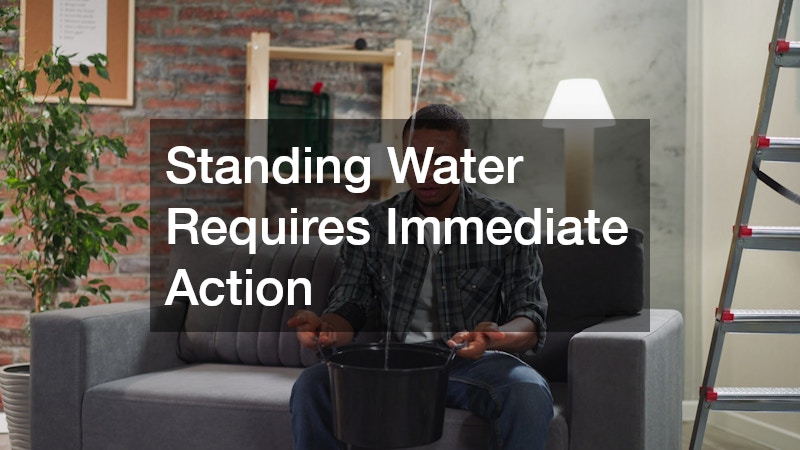 Standing Water Requires Immediate Action