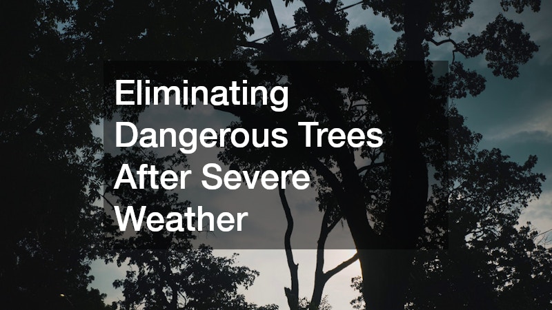 Eliminating Dangerous Trees After Severe Weather
