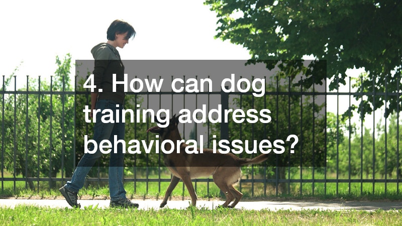 4. How can dog training address behavioral issues?