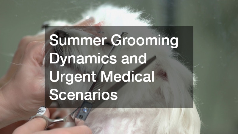 Summer Grooming Dynamics and Urgent Medical Scenarios