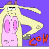 Cow!