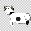 The Cow