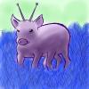 space pig.