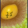 Mysterious Egg