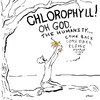 Chlorophyll lament