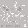 my cat