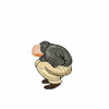 fetal