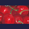 Cherries